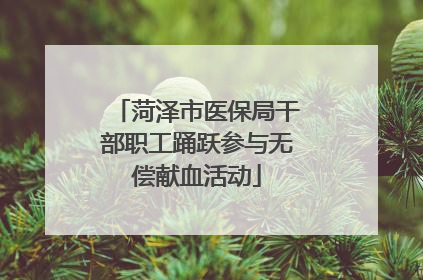 菏泽市医保局干部职工踊跃参与无偿献血活动
